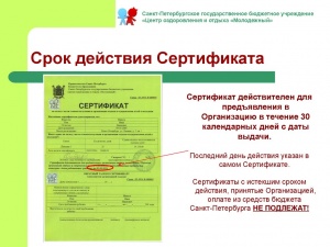 Открыт прием документов для получения сертификата